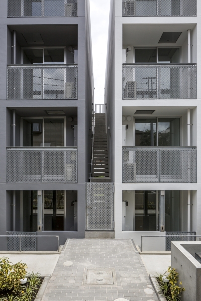 Mimosa Pudica | Horibe Associates