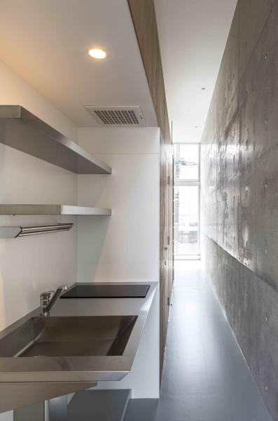 Mimosa Pudica | Horibe Associates