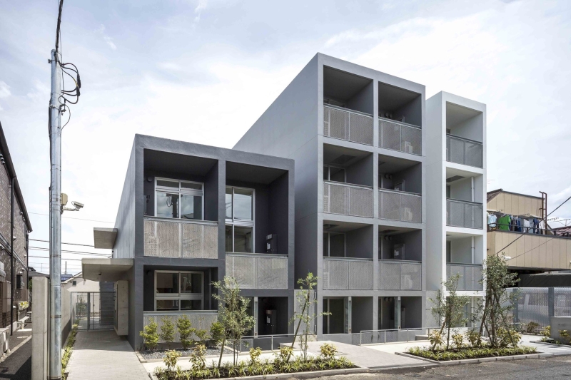 Mimosa Pudica | Horibe Associates