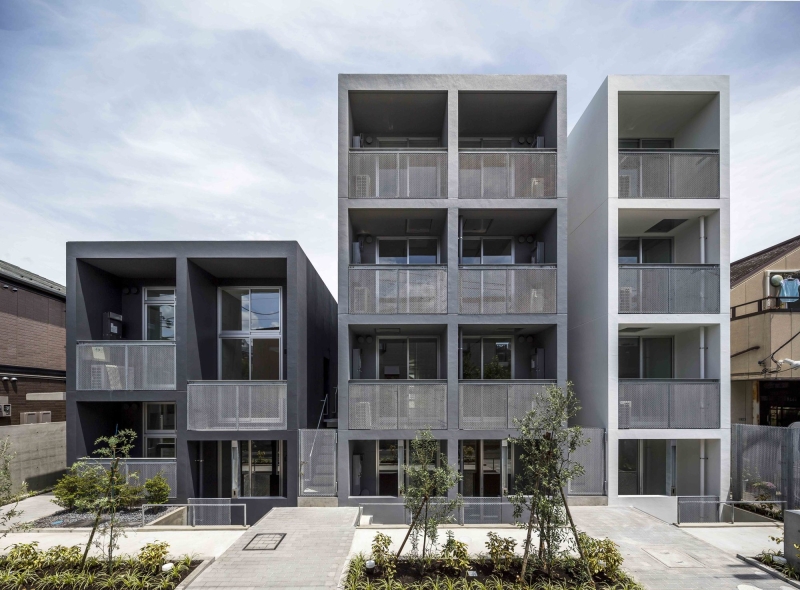 Mimosa Pudica | Horibe Associates