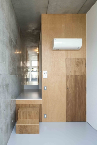 Mimosa Pudica | Horibe Associates