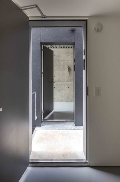 Mimosa Pudica | Horibe Associates