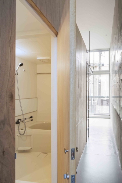 Mimosa Pudica | Horibe Associates