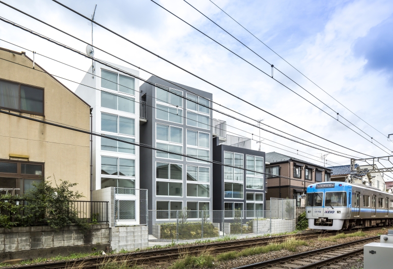 Mimosa Pudica | Horibe Associates