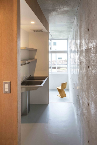 Mimosa Pudica | Horibe Associates