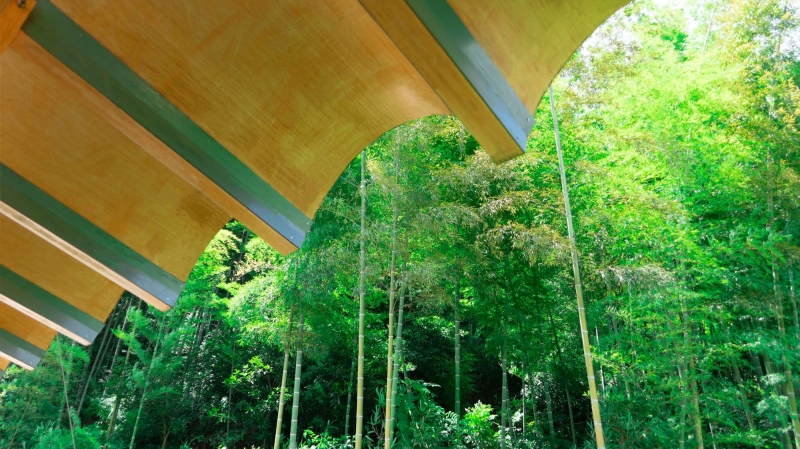 Pomegranate Garden Micro Building | Tumu + Meaningless Arch