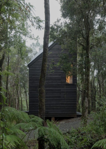 Refugio Calfuco | Tom&aacute;s de Iruarrizaga