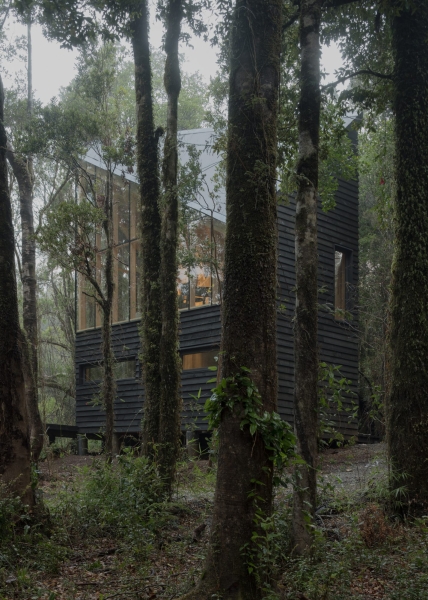 Refugio Calfuco | Tom&aacute;s de Iruarrizaga