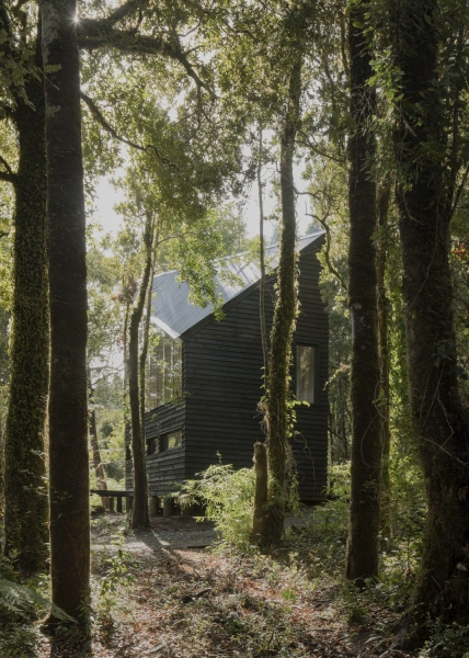 Refugio Calfuco | Tom&aacute;s de Iruarrizaga