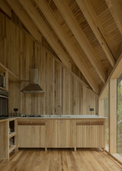 Refugio Calfuco | Tom&aacute;s de Iruarrizaga