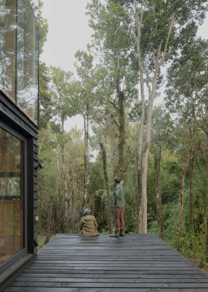 Refugio Calfuco | Tom&aacute;s de Iruarrizaga