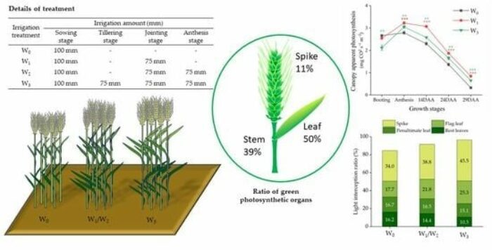 The Complete Guide to Sustainable Landscape Architecture: From Climate Action to Performance Metrics