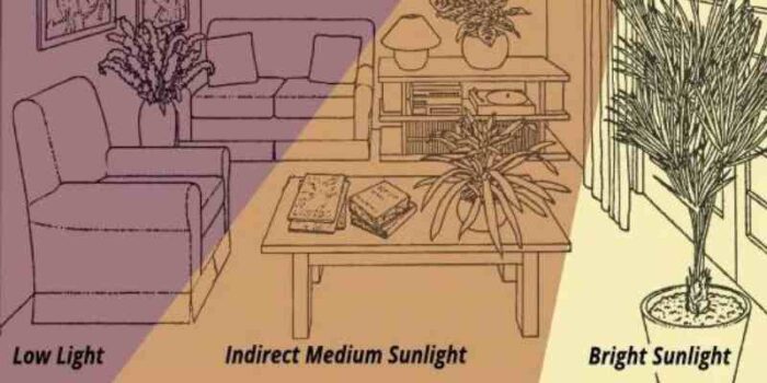 The Complete Guide to Sustainable Landscape Architecture: From Climate Action to Performance Metrics