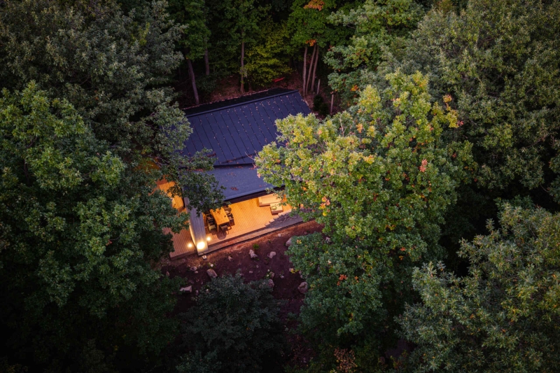 This Forest Home Took Years to Begin and Just Months to Complete