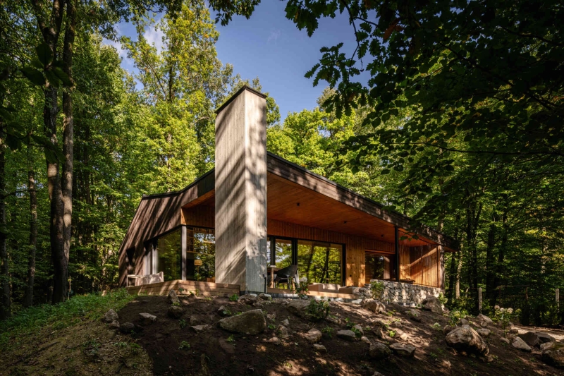 This Forest Home Took Years to Begin and Just Months to Complete