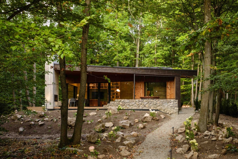 This Forest Home Took Years to Begin and Just Months to Complete