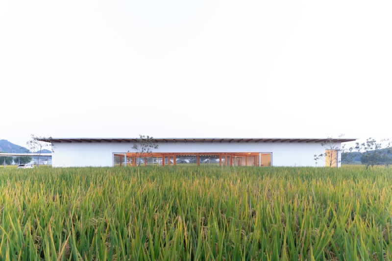 Agronomy Workshop | Studio Dali Architects