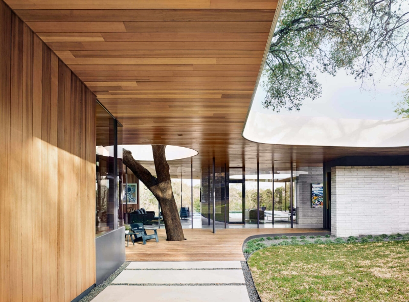 An Austin Family Built Their Dream Home Around a Live Oak Tree
