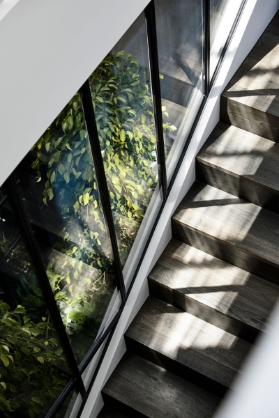 An Indoor Garden Transforms the Center of this Home