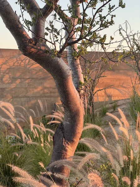 Canyon Entrance Pavillion | Medeza + Querencia Design Center