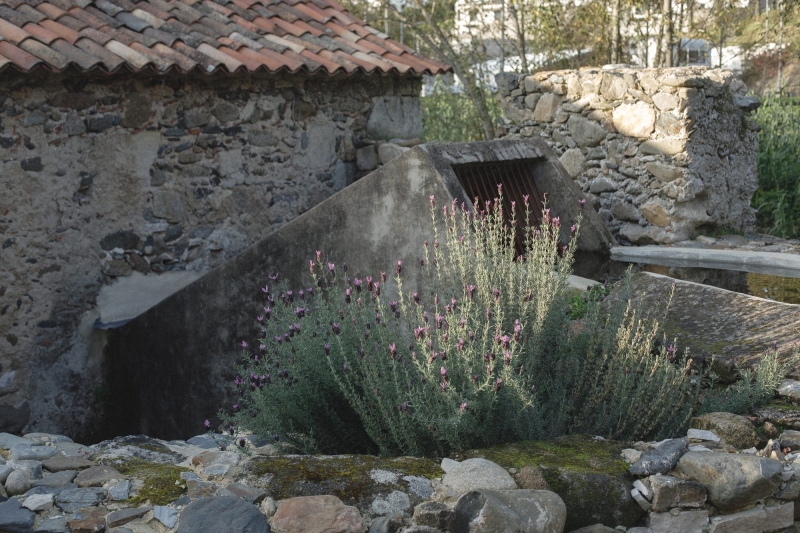 Cereal Interpretation Center | h&aacute;.atelier