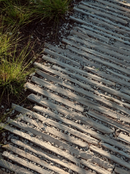 City Park Residence | Alterstudio Architecture