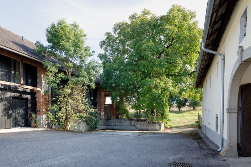Dirnbergergut Building Ensemble | Moser und Hager Architekten