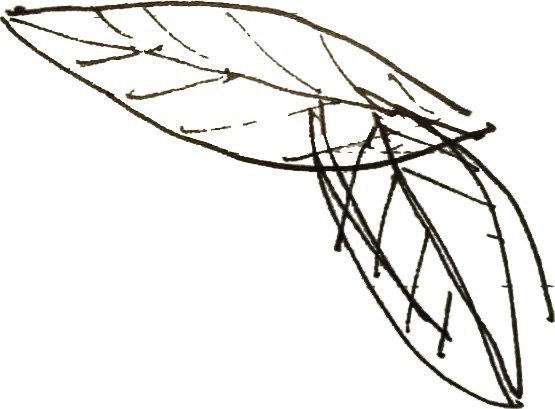 Four Public Pavilions | Aurelien Chen + CSCEC