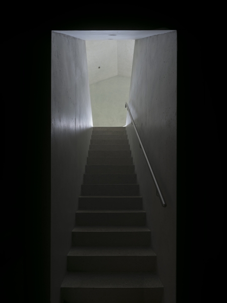 House F | celoria Architects