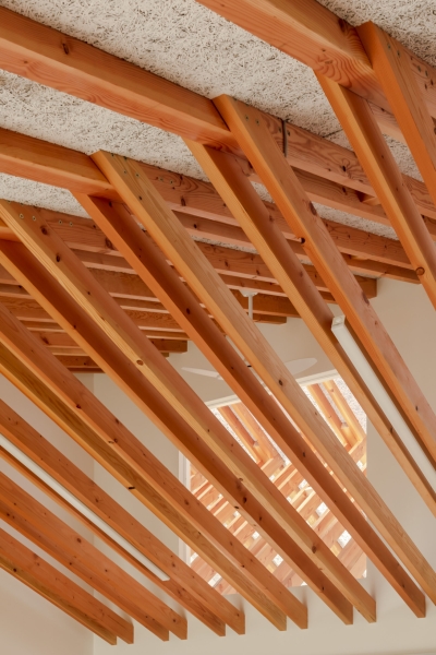 &ldquo;House&rdquo; for Matsuyama Tomo-no-Kai | Ogawa Nishikori Architects