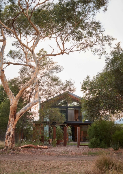 Living on the Edge of a Park Changed How This Home Was Designed