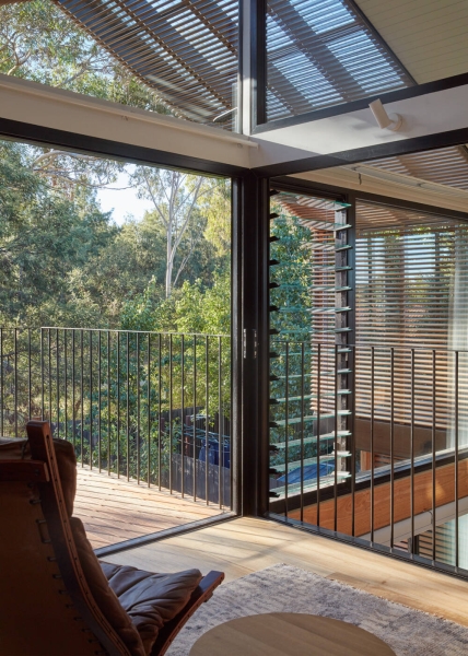 Living on the Edge of a Park Changed How This Home Was Designed