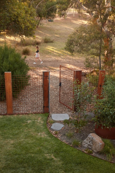 Living on the Edge of a Park Changed How This Home Was Designed