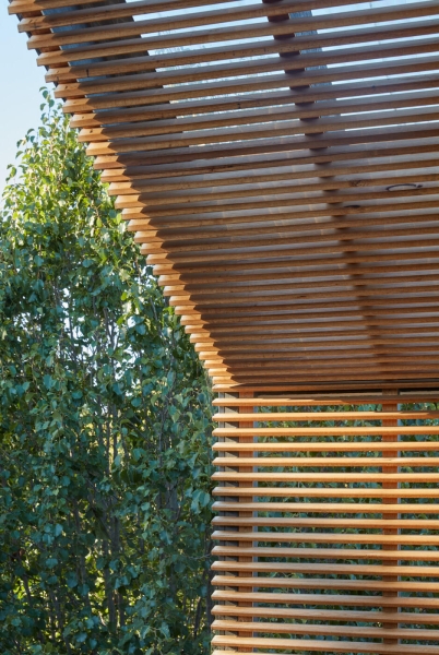 Living on the Edge of a Park Changed How This Home Was Designed