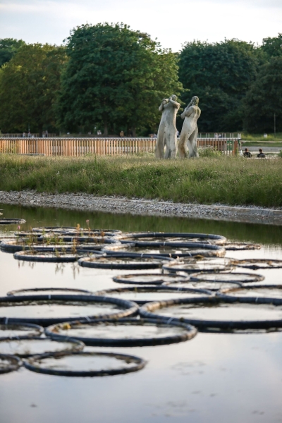 Pole Mokotowskie Park Modernization | WXCA