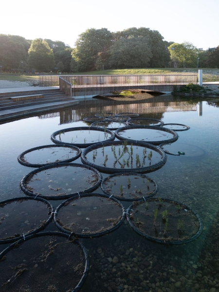 Pole Mokotowskie Park Modernization | WXCA