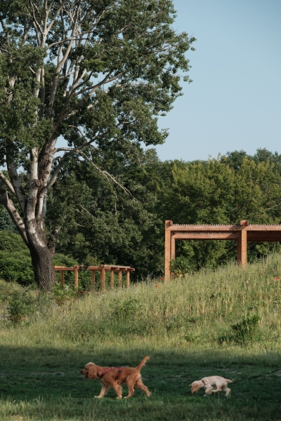 Pole Mokotowskie Park Modernization | WXCA