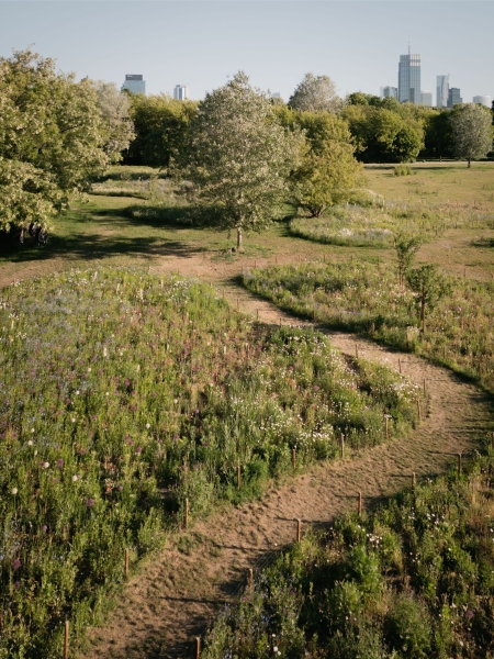 Pole Mokotowskie Park Modernization | WXCA