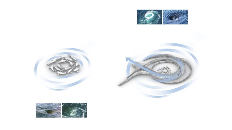 Pusaran Ocean Deck | RAD+ar (Research Artistic Design + architecture)