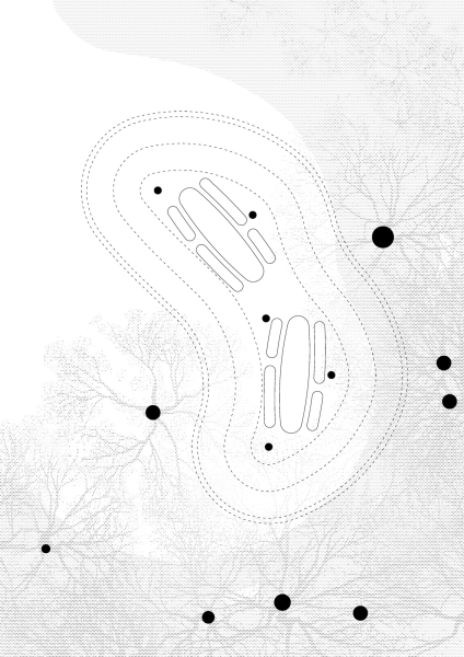 Recreational Area at the Vistula Riverside | Karol Zurawski