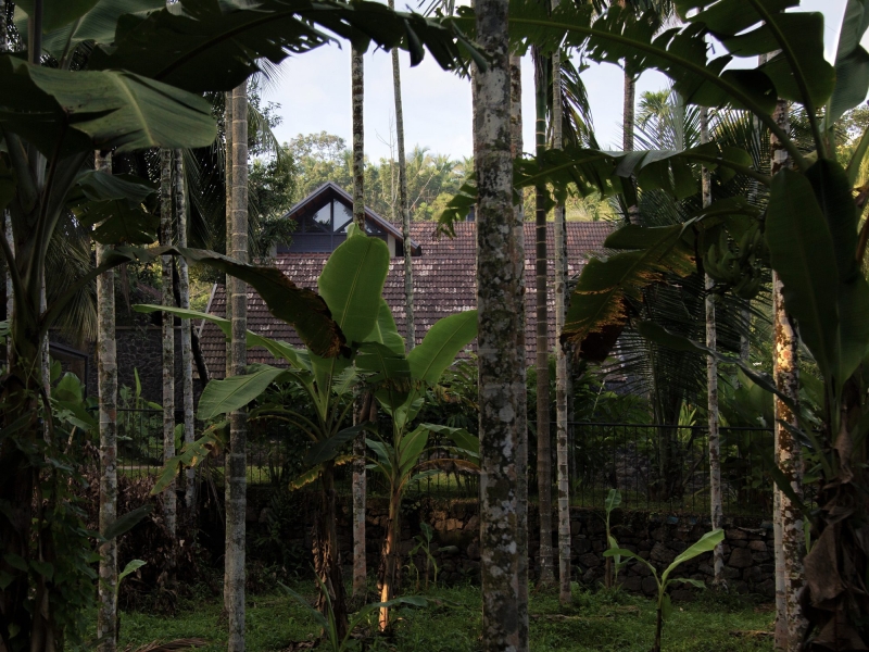 Residence at Edavanna | ZERO STUDIO