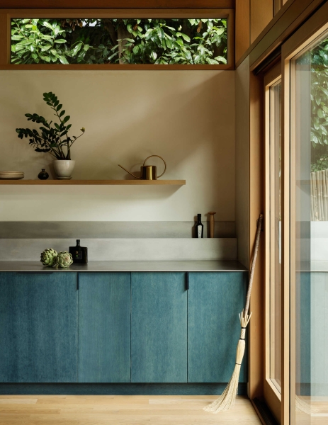 Step Into a Light-Filled Home Surrounded by Plants