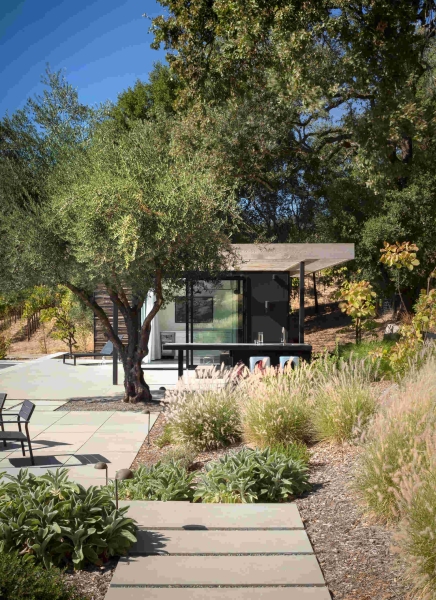 The Pool House That Uses Old Vineyard Stakes to Create Privacy and Views