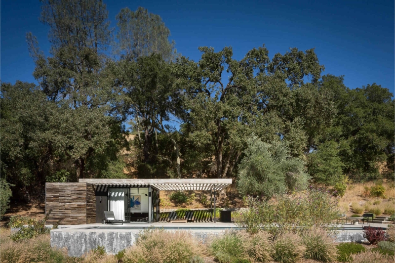 The Pool House That Uses Old Vineyard Stakes to Create Privacy and Views