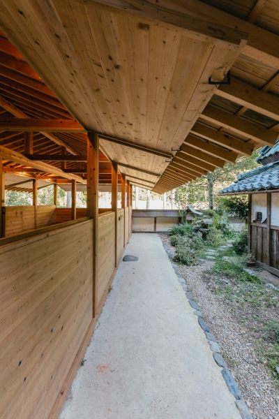 Umagoya Stable | 2M26