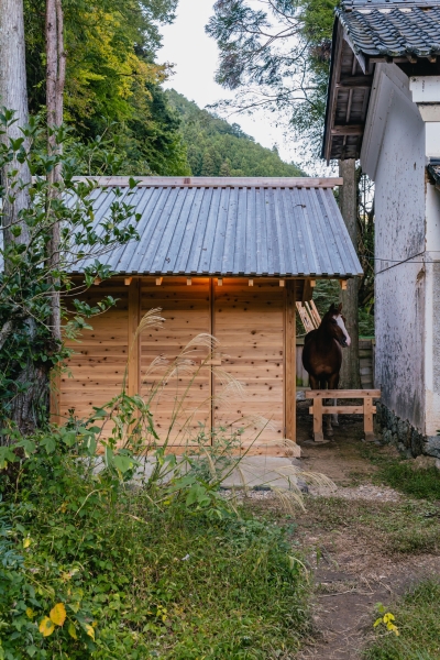 Umagoya Stable | 2M26