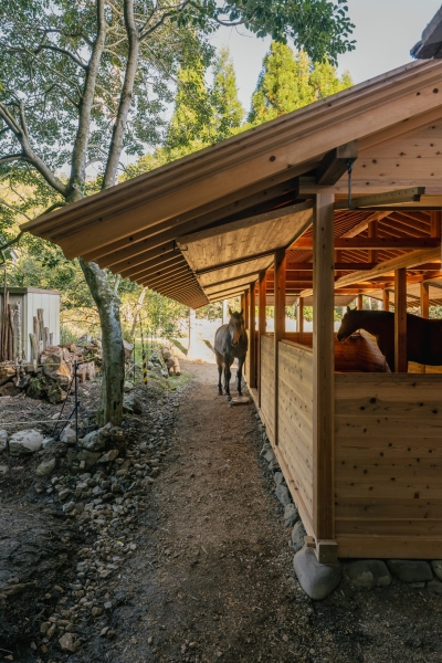 Umagoya Stable | 2M26