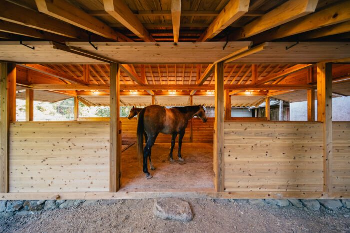 Umagoya Stable | 2M26