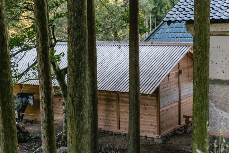 Umagoya Stable | 2M26