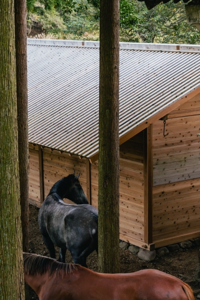 Umagoya Stable | 2M26